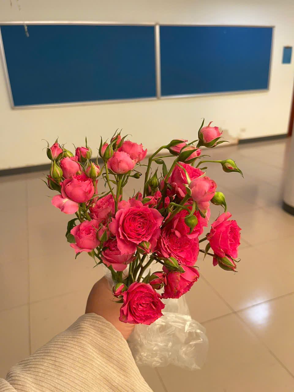 Before flower